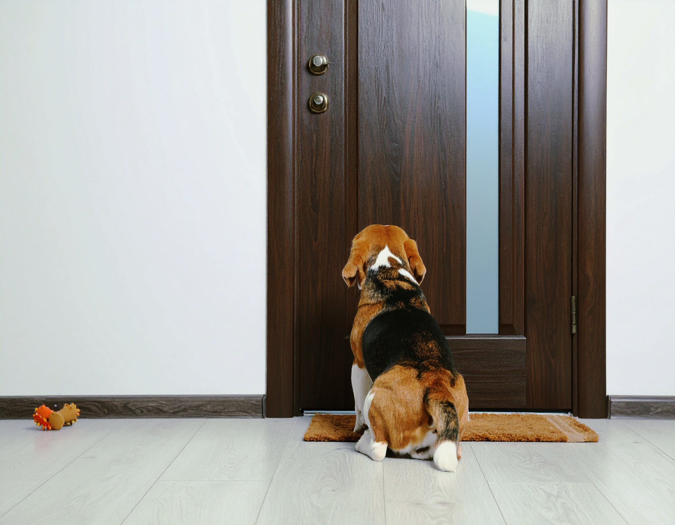 What Happens When You Never Leave